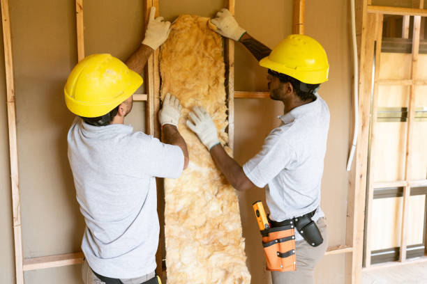 Eco-Friendly or Green Insulation Solutions in Oxford, AL